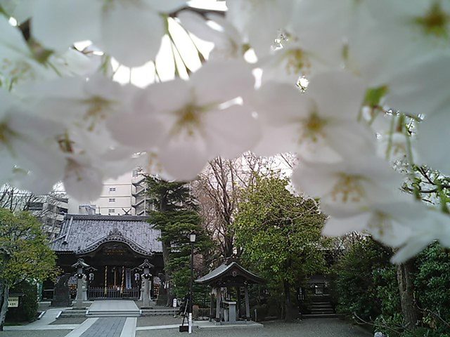 7月花ノ宮朱印のご案内